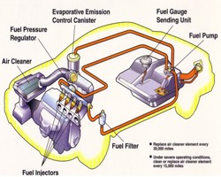 Fuel Injection service